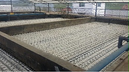 青海某市政污水处理厂提标改造工程脱氮填料案例